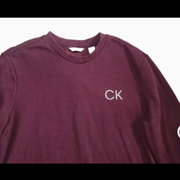 CK Calvin Klein Pullover Fleece Mens Large Plum Purple Silver Logo Sleeve EUC - Picture 4 of 7